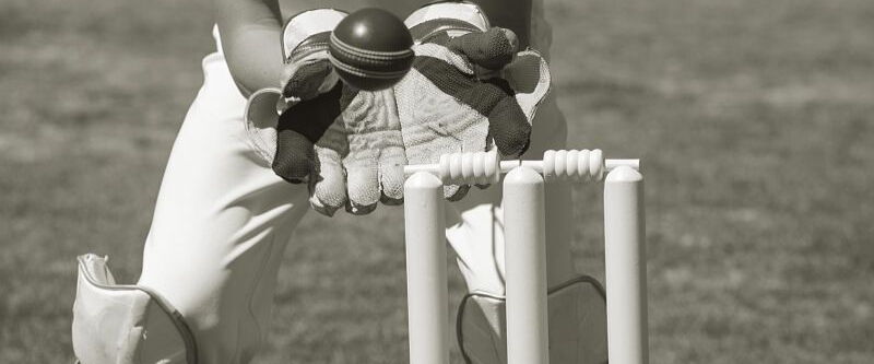 Cricket wickets