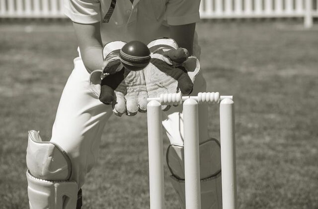 Cricket wickets